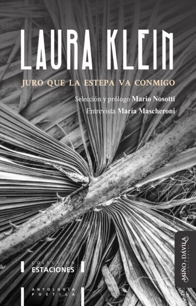 Juro que la estepa va conmigo. <br><a style="color: #6a6e73;">Antología poética de Laura Klein</a>